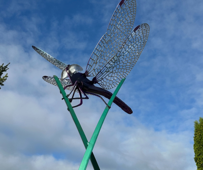 Elfin Skimmer Dragonfly